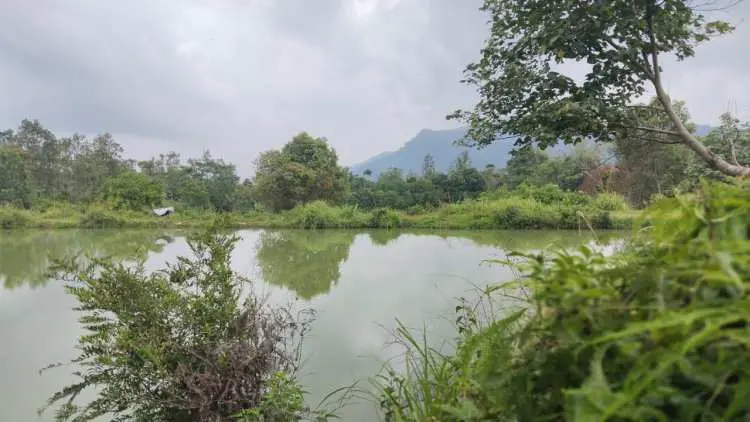 Eksplorasi Cek Dam, Potensi Wisata Di Huntap Cisarua Nanggung