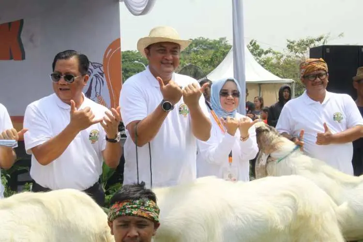 Rudy Susmanto Apresiasi Festival Ternak Domba Kambing 2023 di Kabupaten Bogor