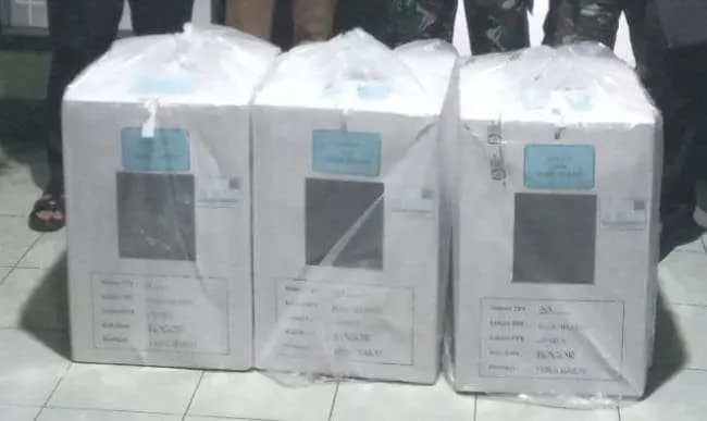 Indikasi Kecurangan di Tiga TPS, Warga Cisarua Pertanyakan Suara yang Hilang