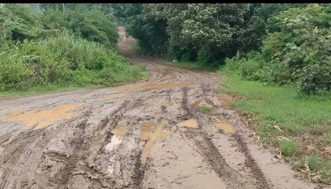 15 Tahun Rusak, Warga Desak Rekonstruksi Total Ruas Jalan di Desa Bangunjaya