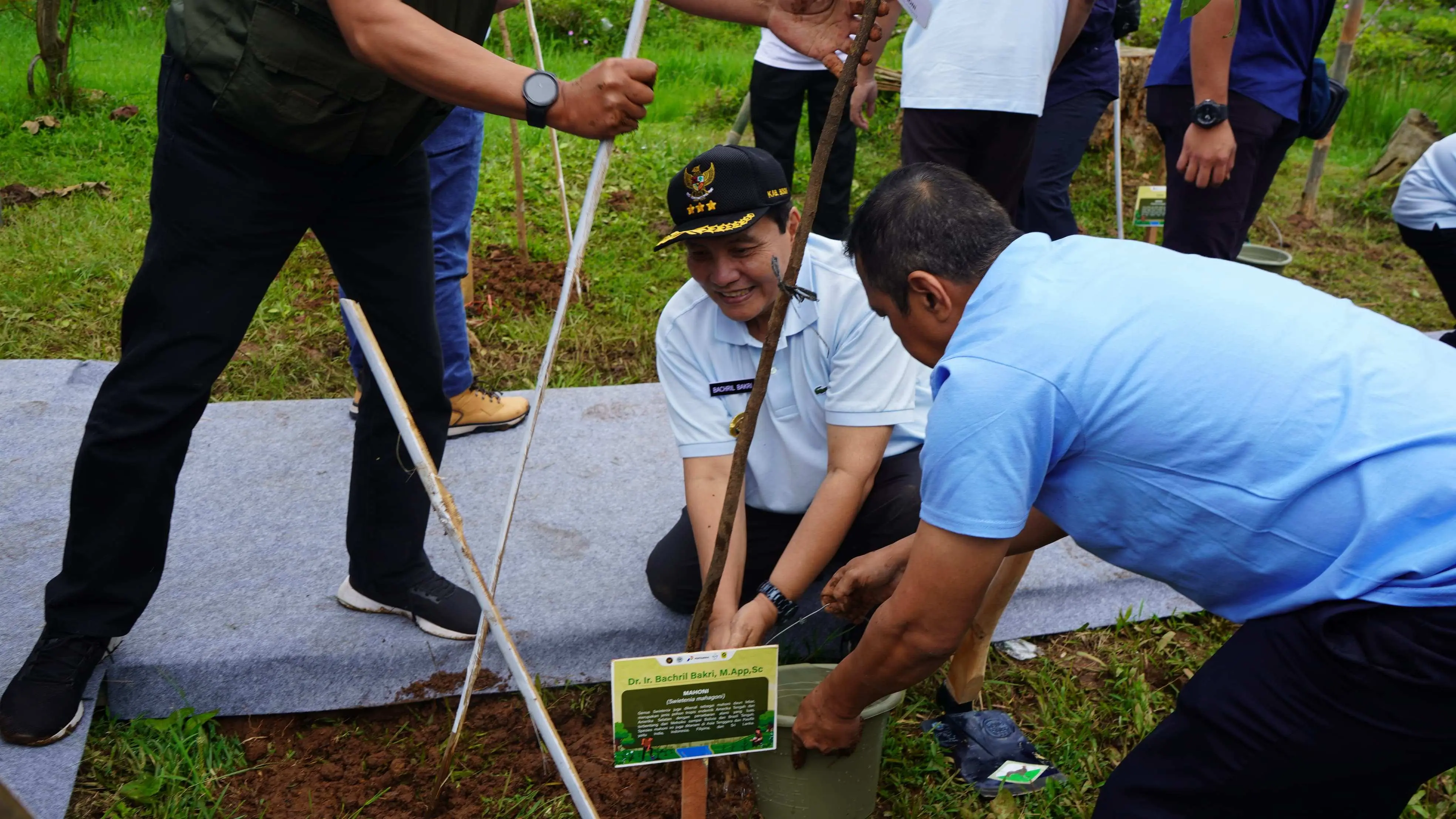 Pemkab Bogor dan KLHK Tanam Pohon di Agrowisata Gunung Mas