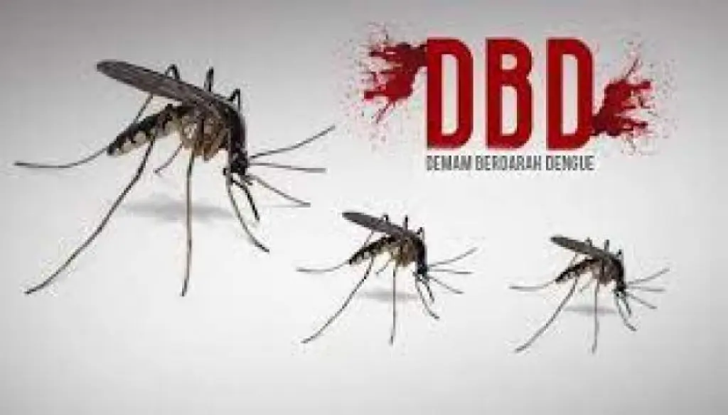550 Kasus DBD di Kabupaten Bogor 2025, Cibinong Jadi Wilayah Terparah