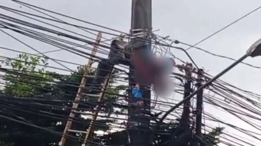 Petugas PLN Tewas Tersengat Listrik Saat Perbaiki Jaringan di Klapanunggal