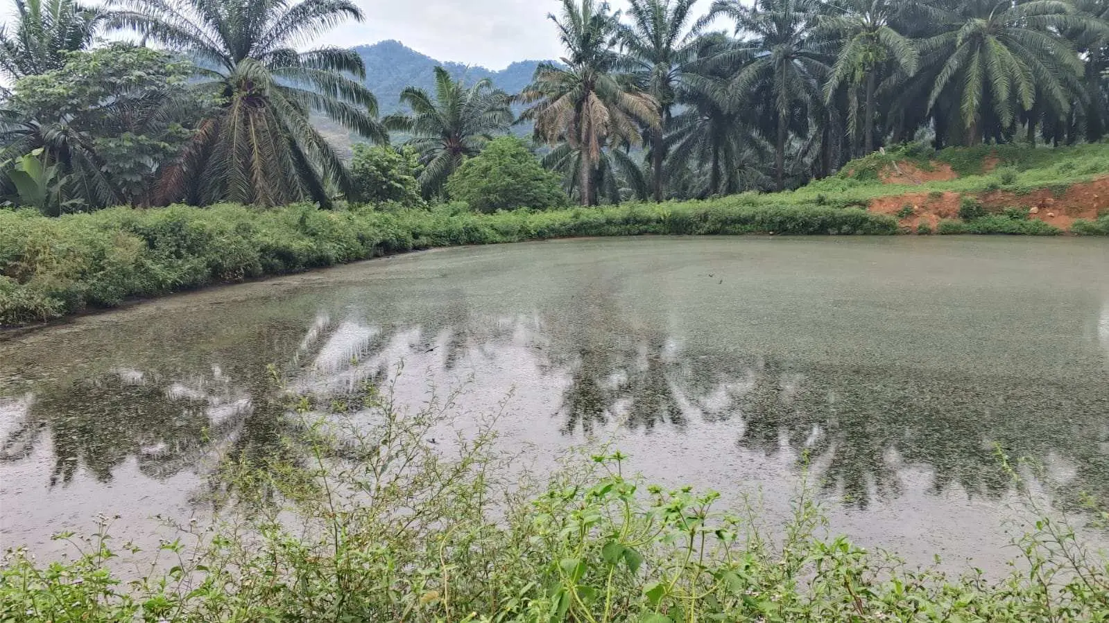 Sungai Cikalong Diduga Tercemar Limbah Pabrik, Warga Mekarjaya Mengeluh Tak Ada Tindak Lanjut
