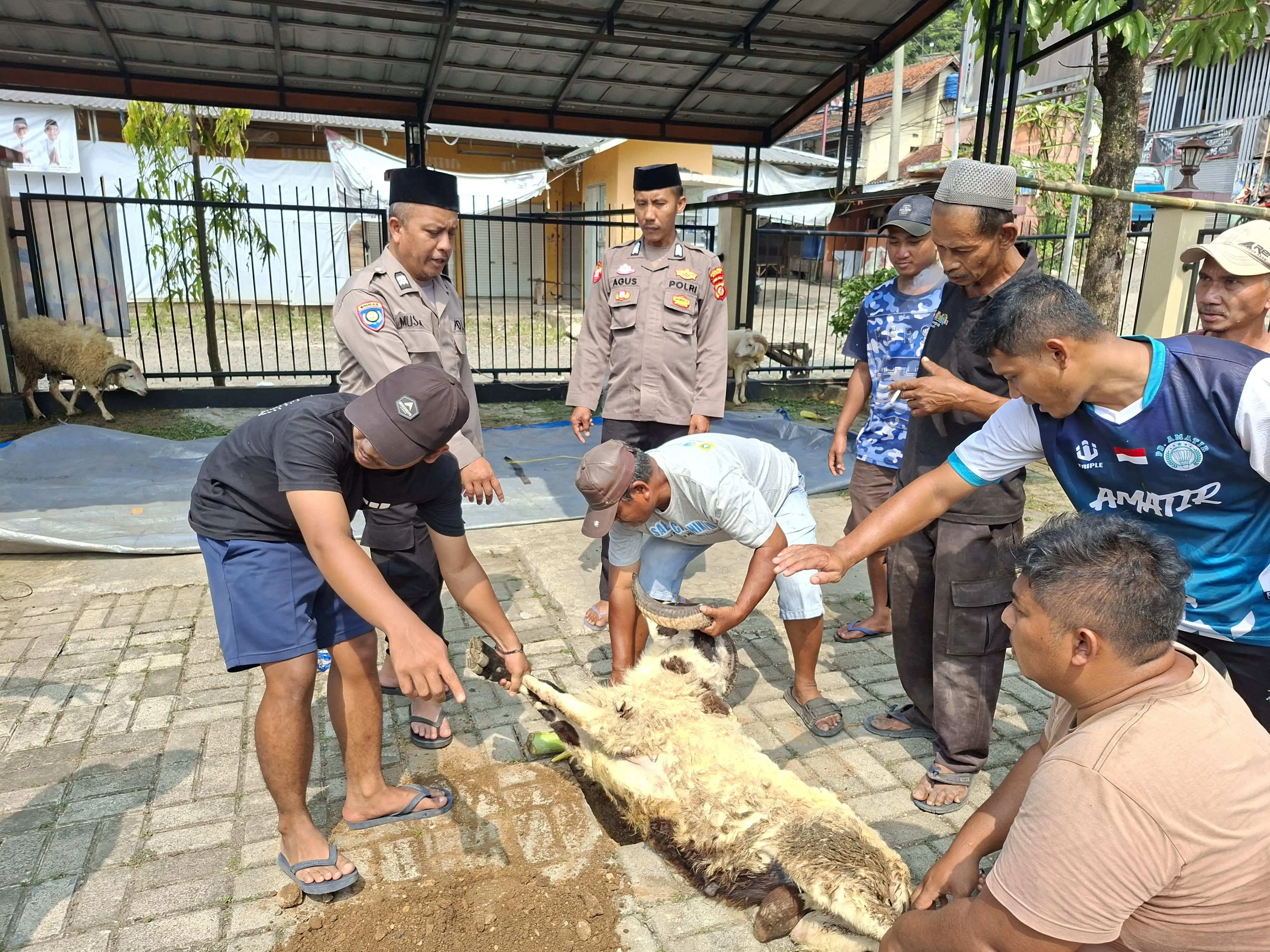Polsek Nanggung Sembelih 5 Ekor Kambing  di Momen Idul Adha 1446 H