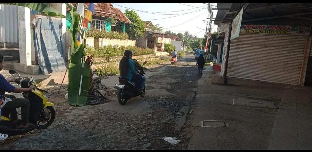 Warga Cinangka Geram, Jalan Rusak Ditandai Pohon Pisang dan Spanduk Sindiran