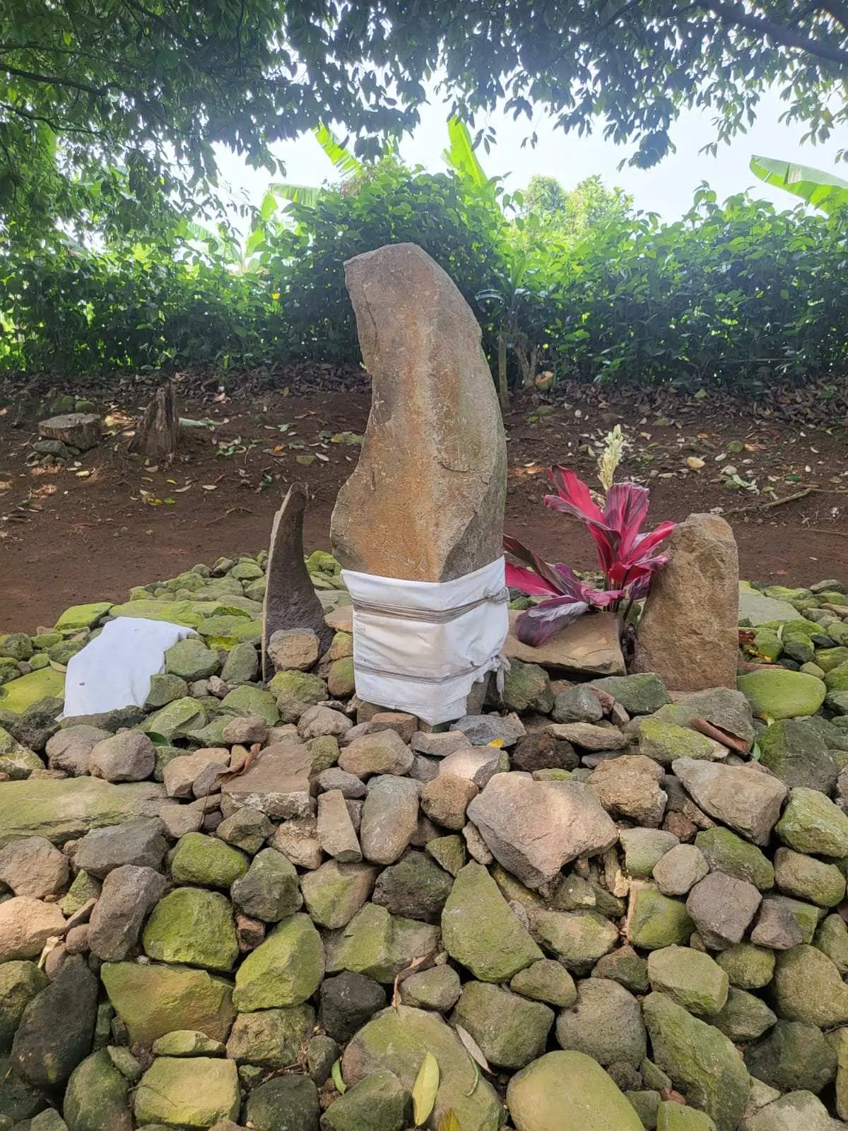 Batu Mirip Kujang Ditemukan Di Desa Purwasari