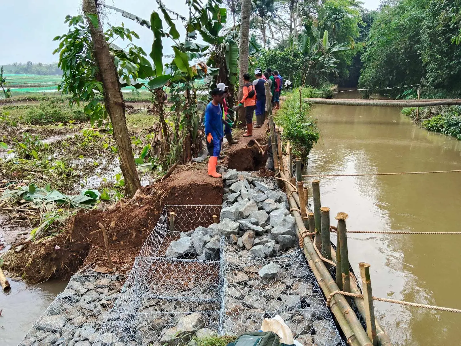 Tanggul Sungai Cibeuteung Jebol, Petani Minta Tanggul Permanen