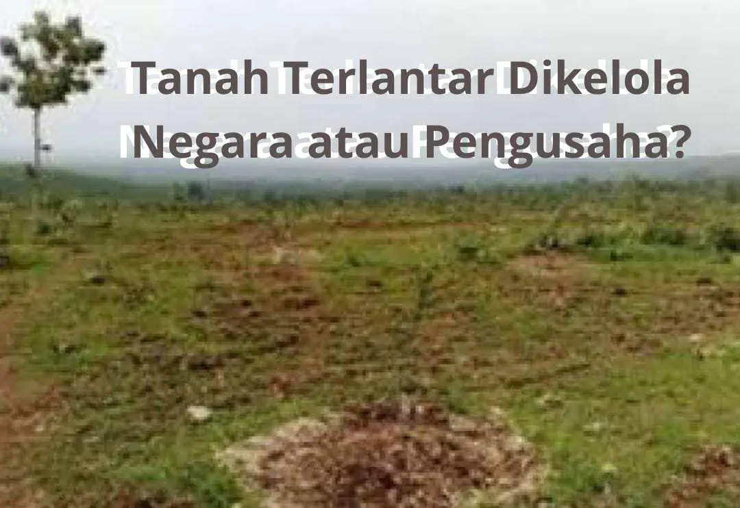 Tanah Terlantar Dikelola Negara atau Pengusaha?