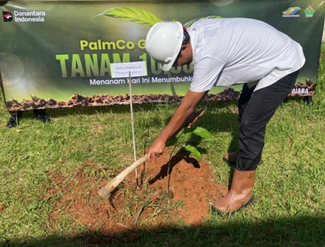 PTPN IV Cikasungka Tanami Berbagai Jenis Pohon di Area Perusahaan