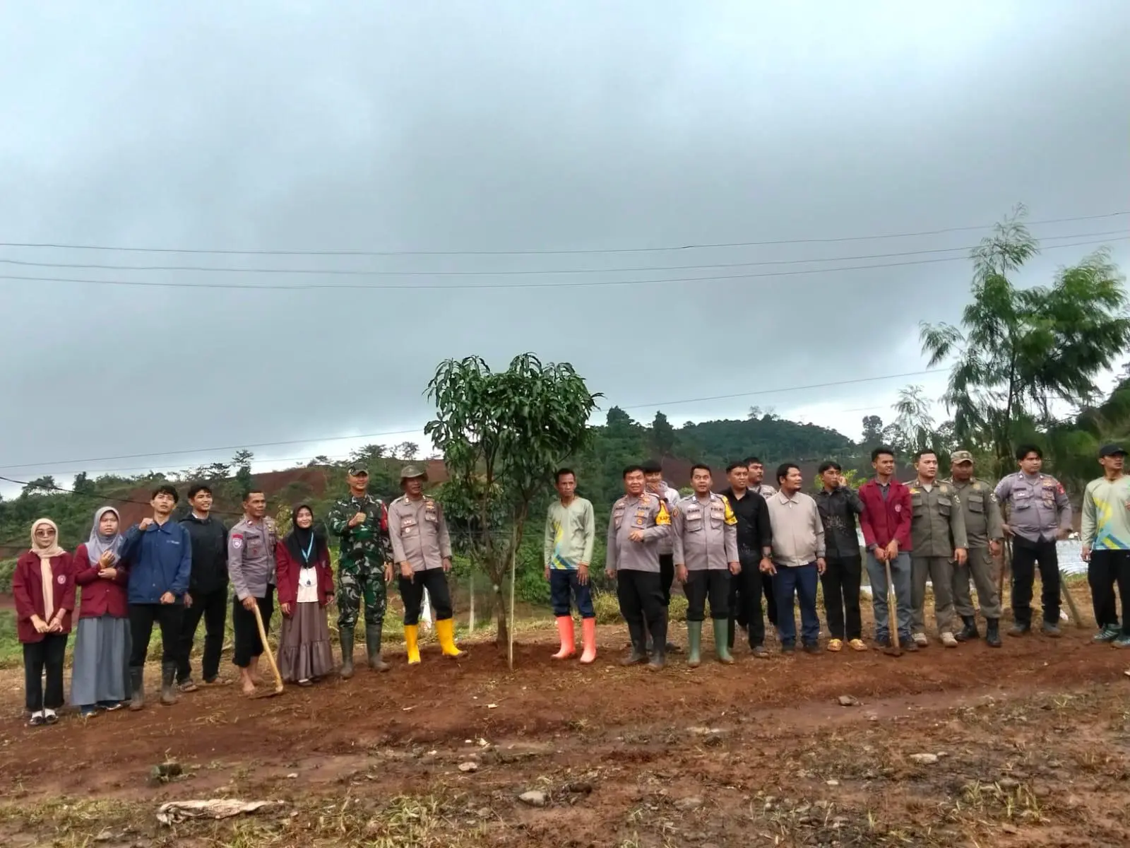Polsek Cigudeg Bersama Muspika Sukajaya Tanami Jagung di Lahan 750 Hektare