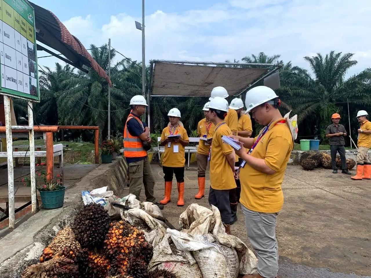 60 Karyawan PTPN IV PKS Cikasungka Cigudeg Ikuti Uji Kompetensi SDM