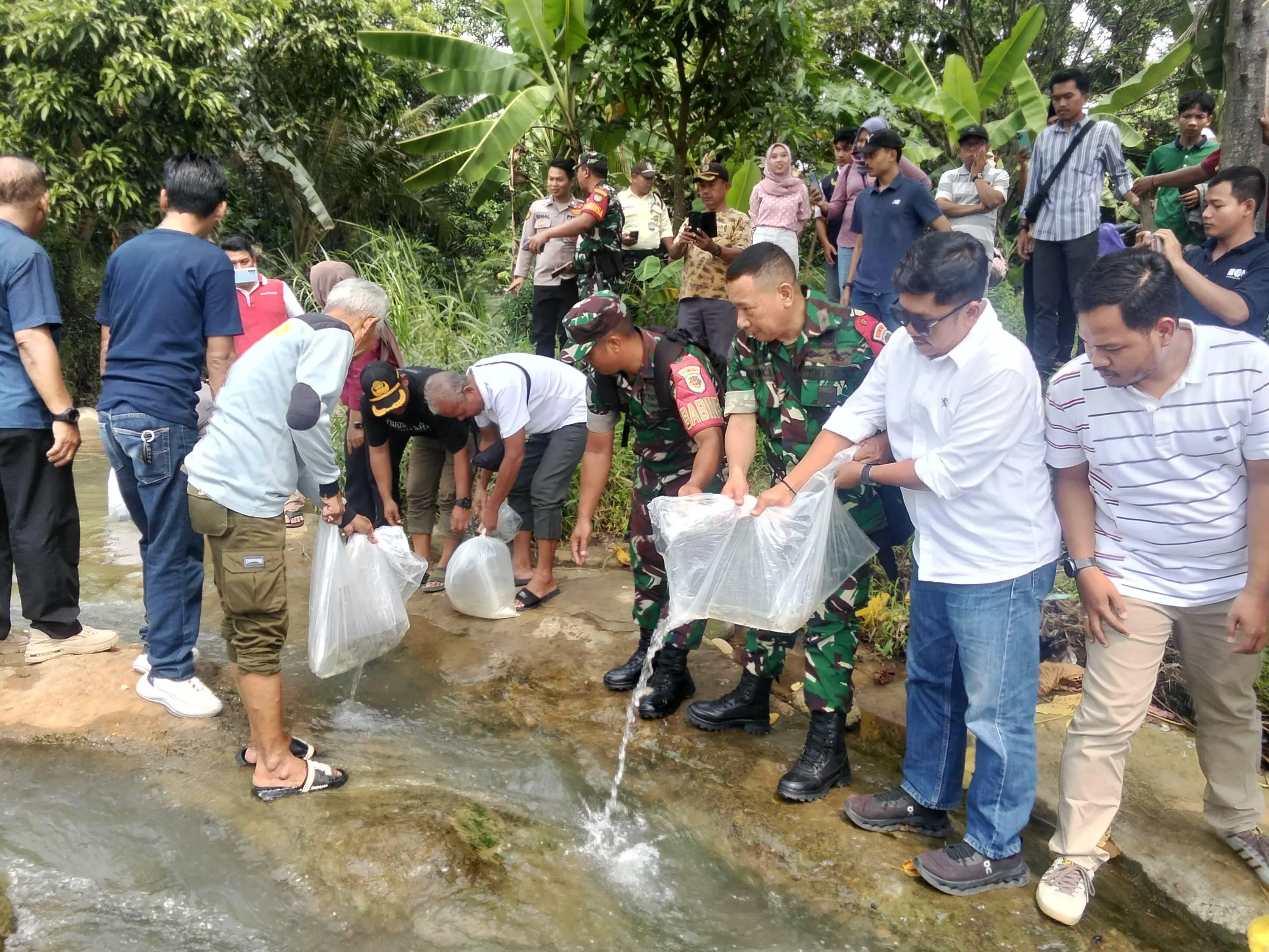 PTPN Nusantara IV Distrik Jawa Barat Banten Tebar Ribuan Benih Ikan di Sungai Cikalong dan Cidurian