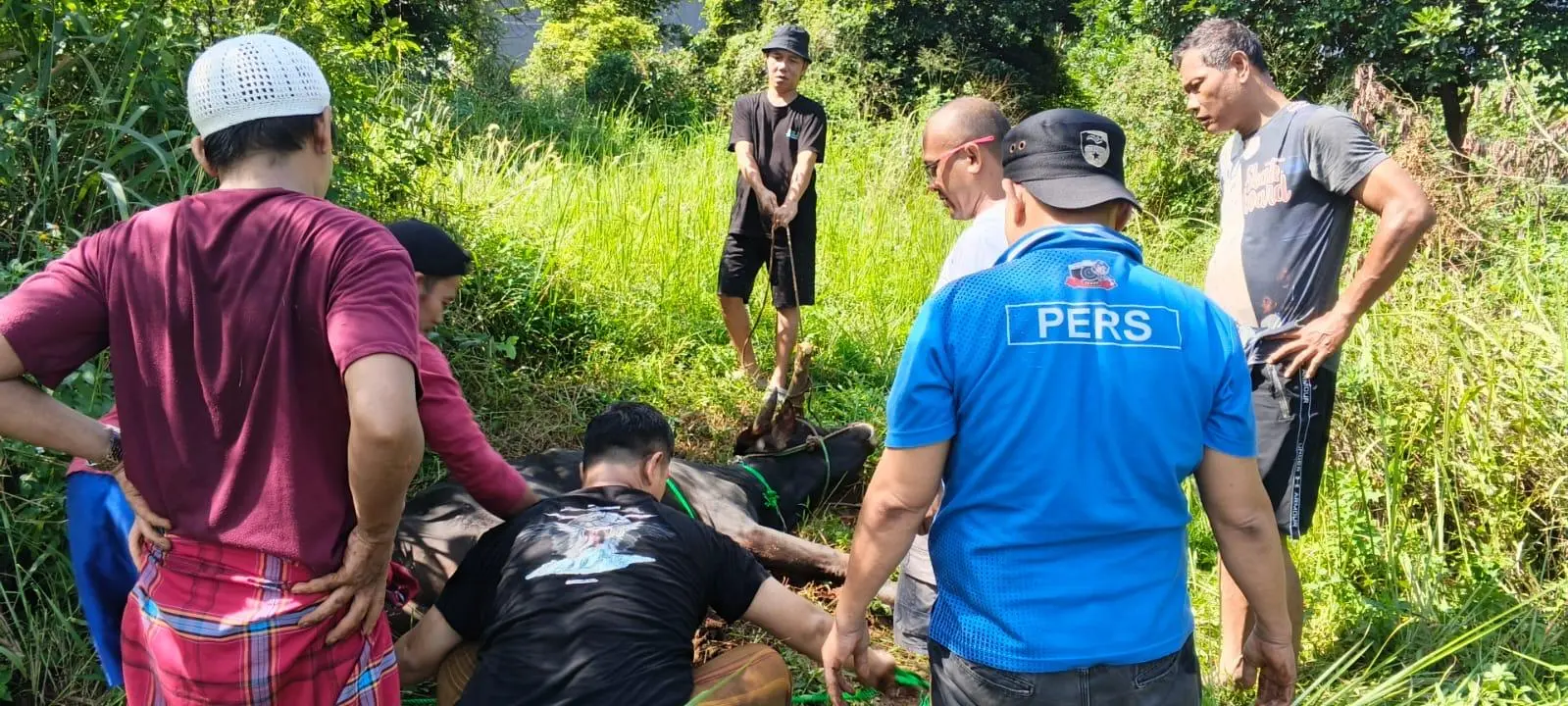 Bupati Bogor Salurkan Sapi Qurban ke Bogor Media Siber Network