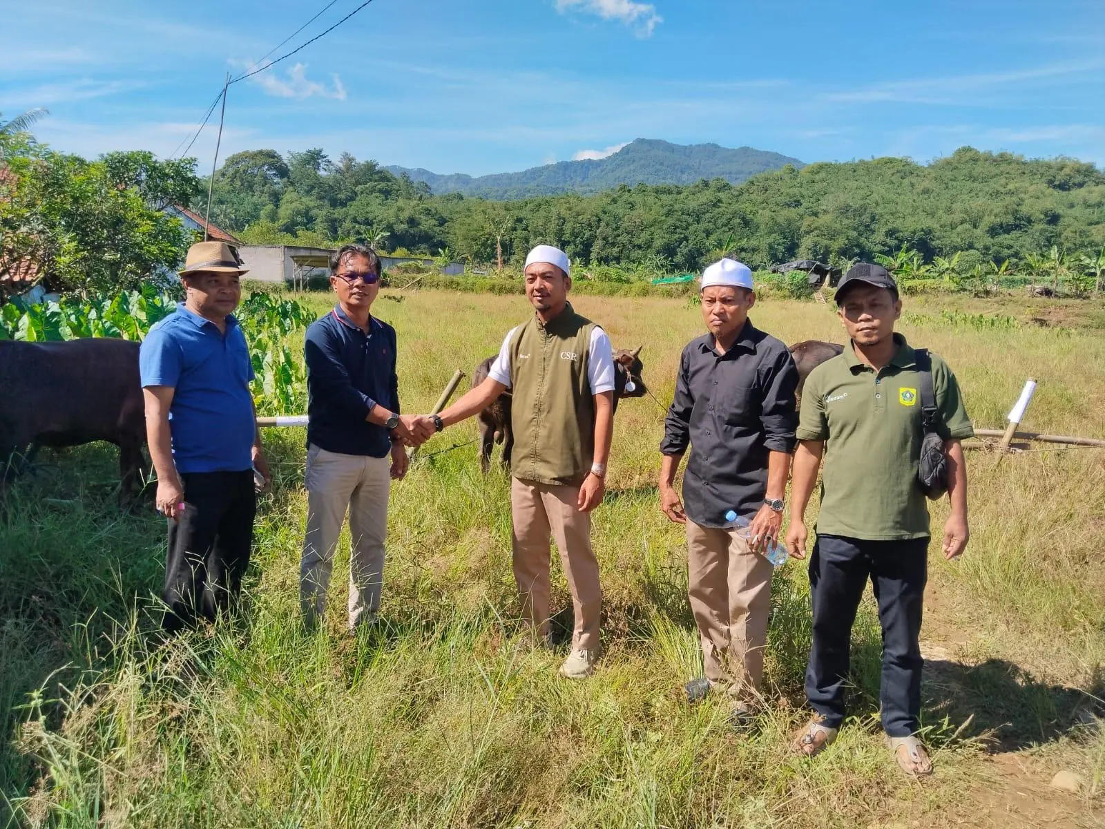PT Antam UBPE Pongkor Salurkan Puluhan Hewan Qurban ke Warga