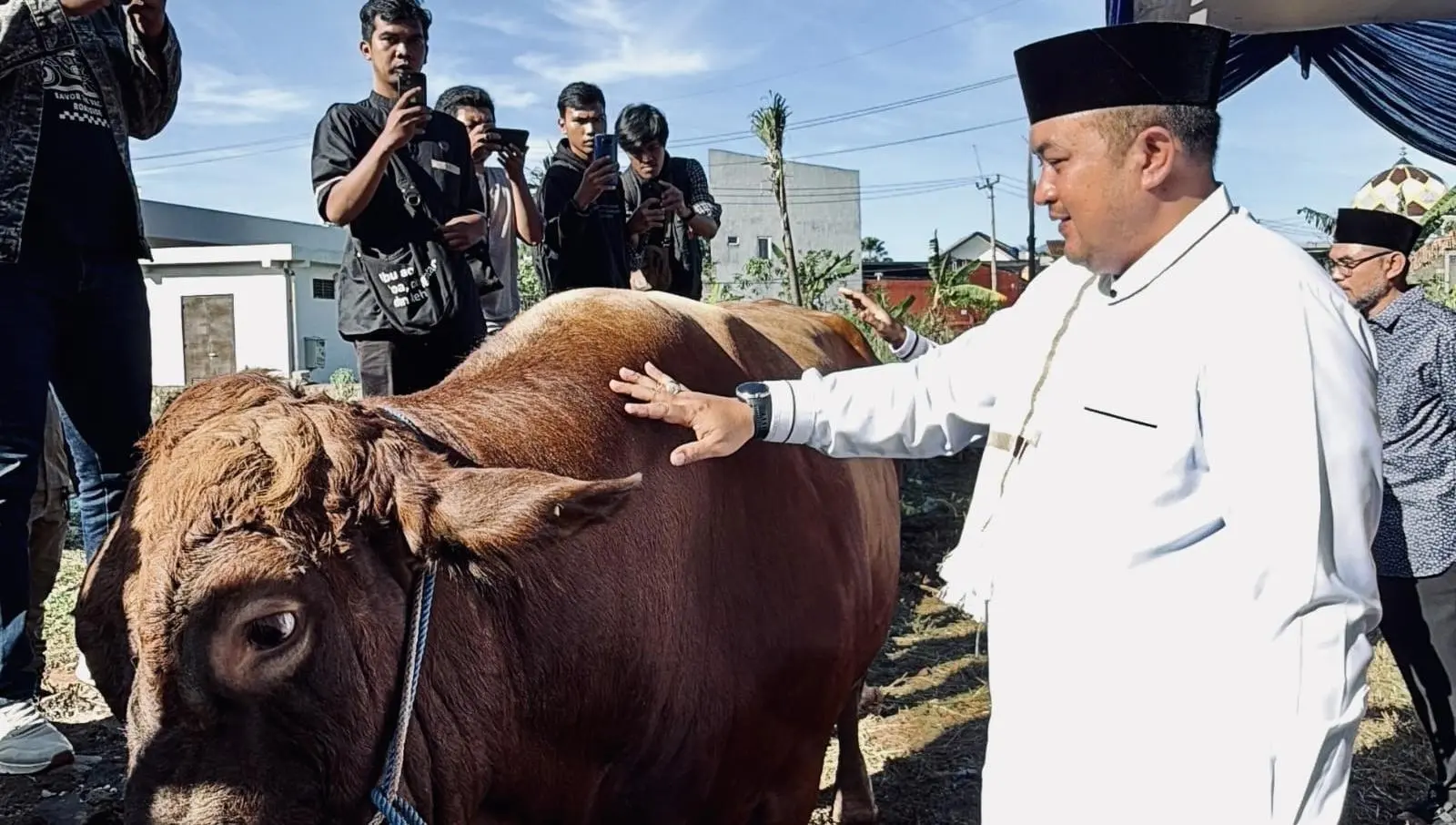 Bupati Bogor Salurkan Sapi Qurban Presiden ke Masjid Nurul Wathon Pakansari