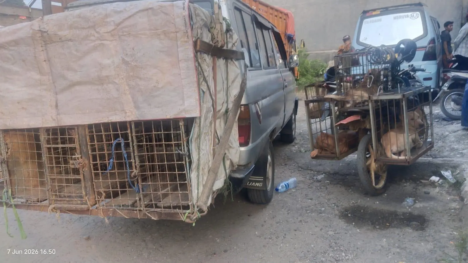 Polisi Dalami Dugaan Kelalaian Pemburu yang Tewaskan Bocah Cigudeg Diterkam Anjing